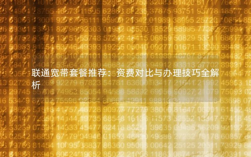 联通宽带套餐推荐：资费对比与办理技巧全解析