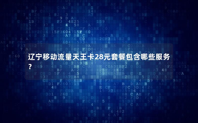 辽宁移动流量天王卡28元套餐包含哪些服务？