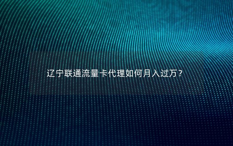 辽宁联通流量卡代理如何月入过万？