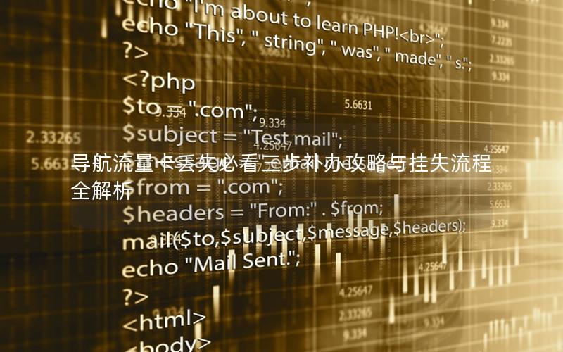 导航流量卡丢失必看三步补办攻略与挂失流程全解析