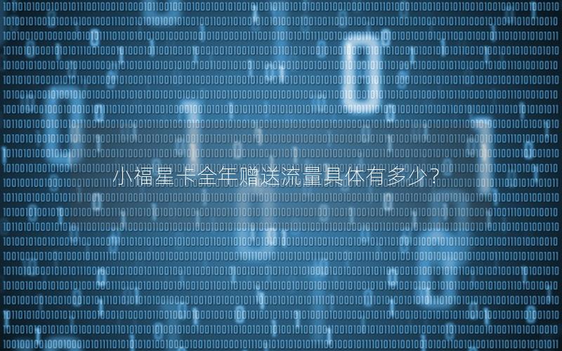 小福星卡全年赠送流量具体有多少？