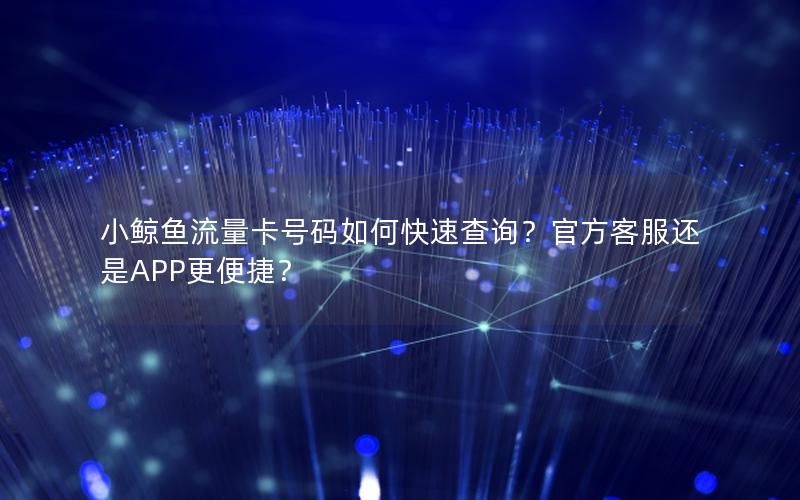 小鲸鱼流量卡号码如何快速查询？官方客服还是APP更便捷？