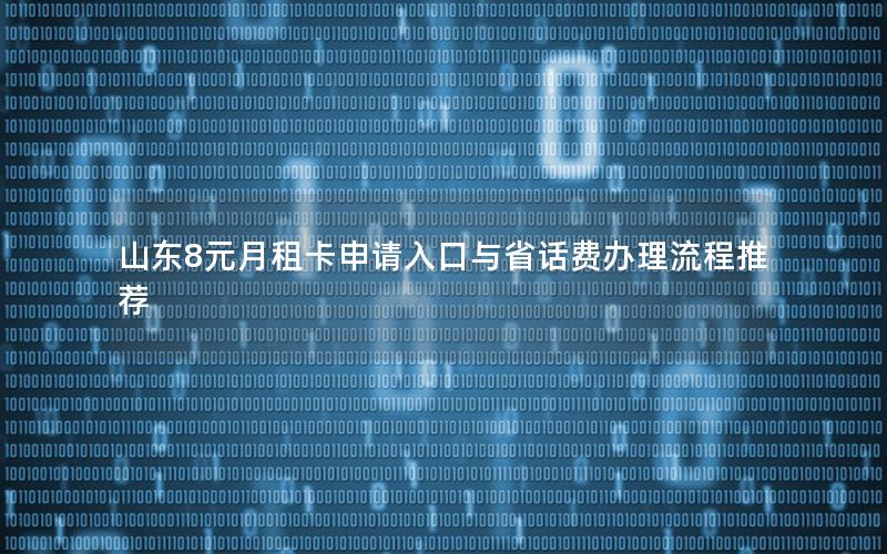 山东8元月租卡申请入口与省话费办理流程推荐