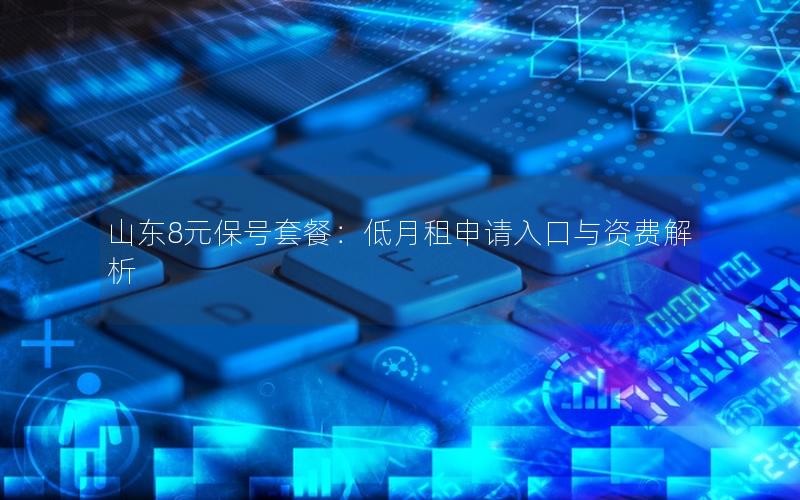 山东8元保号套餐：低月租申请入口与资费解析