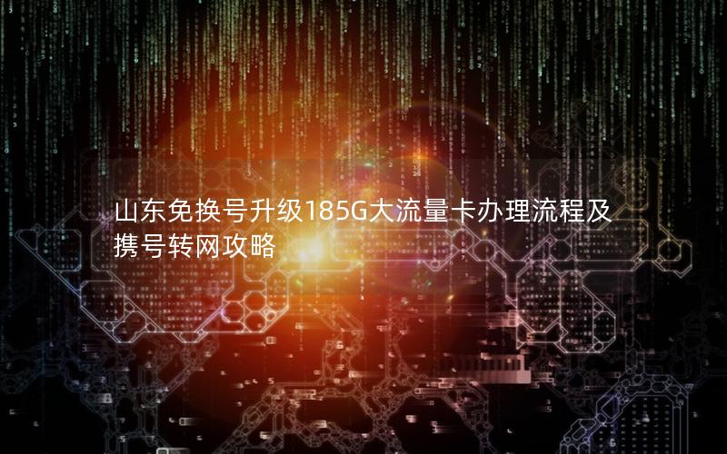 山东免换号升级185G大流量卡办理流程及携号转网攻略