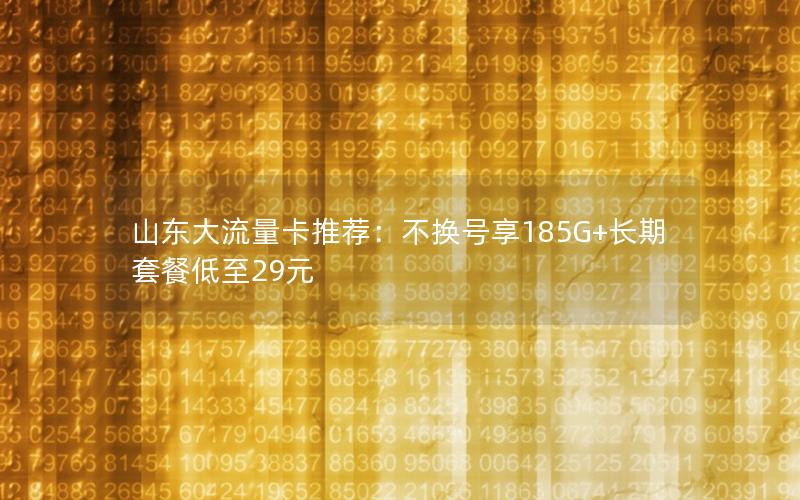 山东大流量卡推荐：不换号享185G+长期套餐低至29元