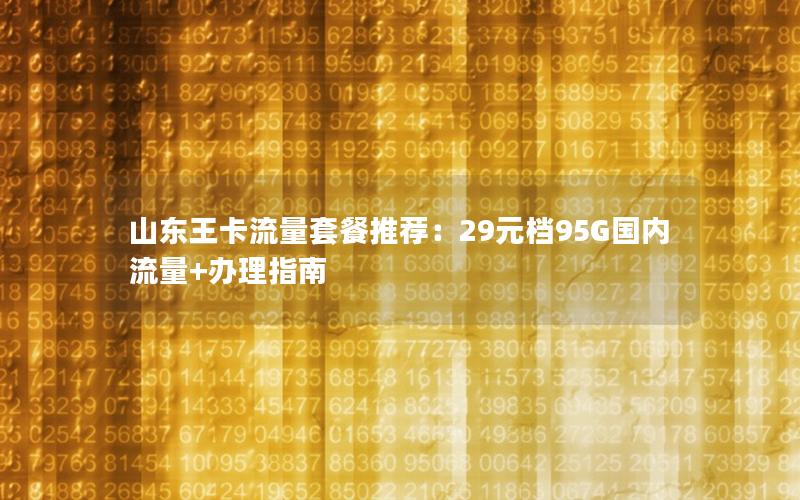山东王卡流量套餐推荐：29元档95G国内流量+办理指南