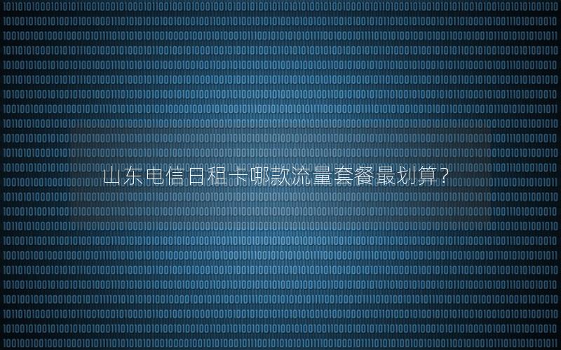 山东电信日租卡哪款流量套餐最划算？