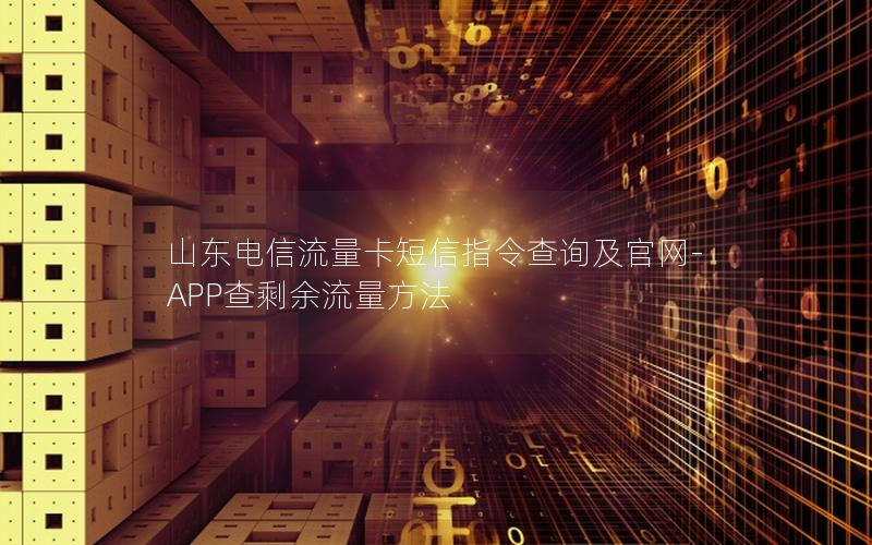 山东电信流量卡短信指令查询及官网-APP查剩余流量方法