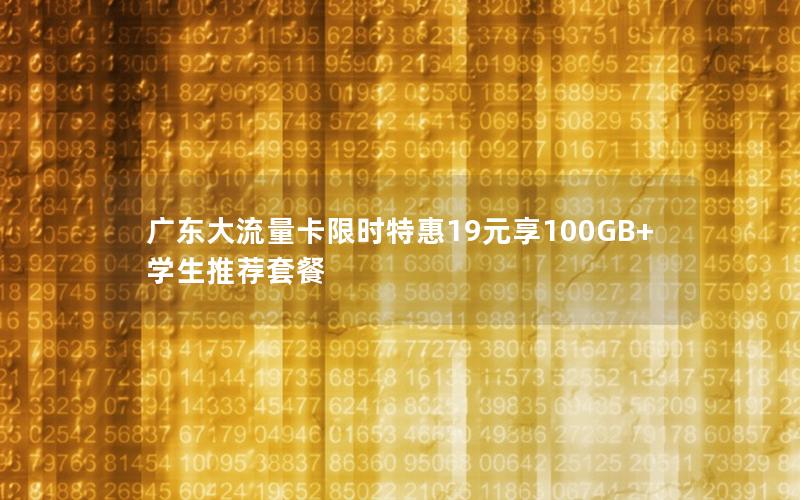 广东大流量卡限时特惠19元享100GB+学生推荐套餐