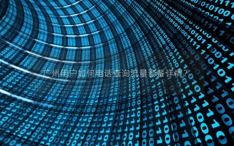 广州用户如何电话查询流量套餐详情？