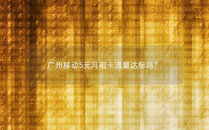 广州移动5元月租卡流量达标吗？