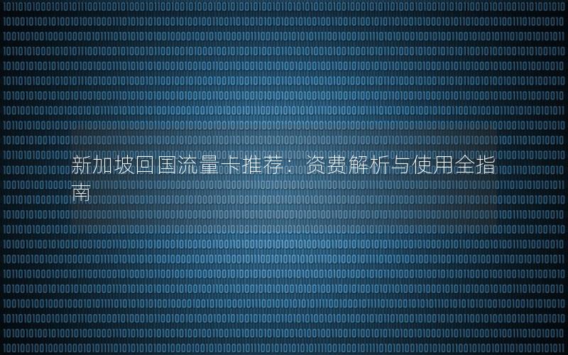 新加坡回国流量卡推荐：资费解析与使用全指南
