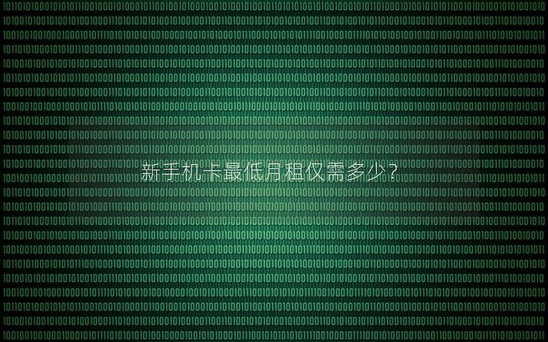 新手机卡最低月租仅需多少？