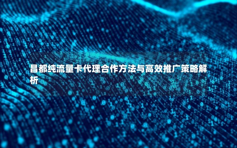 昌都纯流量卡代理合作方法与高效推广策略解析