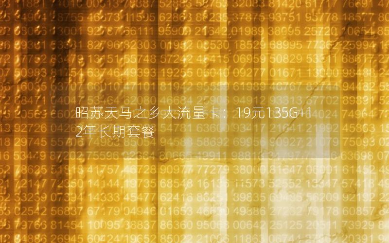 昭苏天马之乡大流量卡：19元135G+12年长期套餐