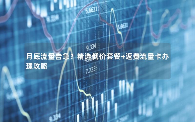 月底流量告急？精选低价套餐+返费流量卡办理攻略