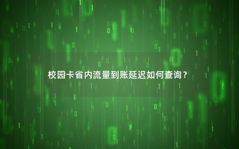 校园卡省内流量到账延迟如何查询？