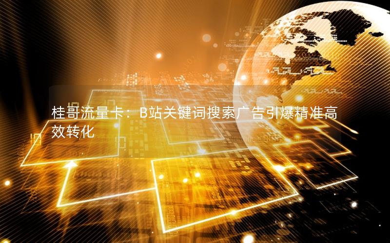 桂哥流量卡：B站关键词搜索广告引爆精准高效转化