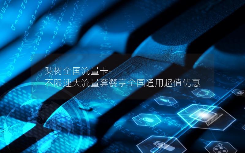 梨树全国流量卡-不限速大流量套餐享全国通用超值优惠