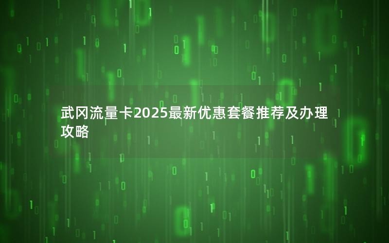武冈流量卡2025最新优惠套餐推荐及办理攻略