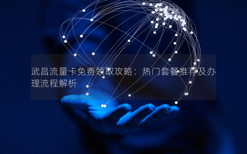 武昌流量卡免费领取攻略：热门套餐推荐及办理流程解析