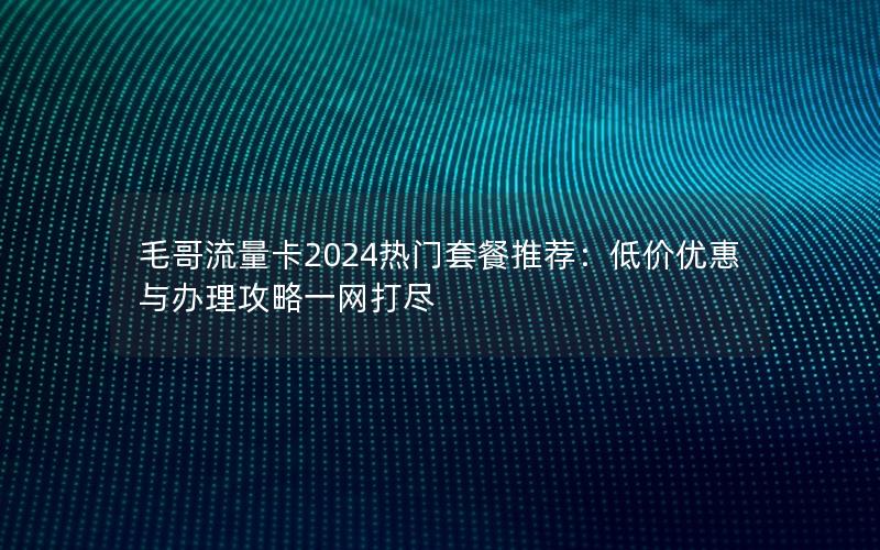 毛哥流量卡2024热门套餐推荐：低价优惠与办理攻略一网打尽