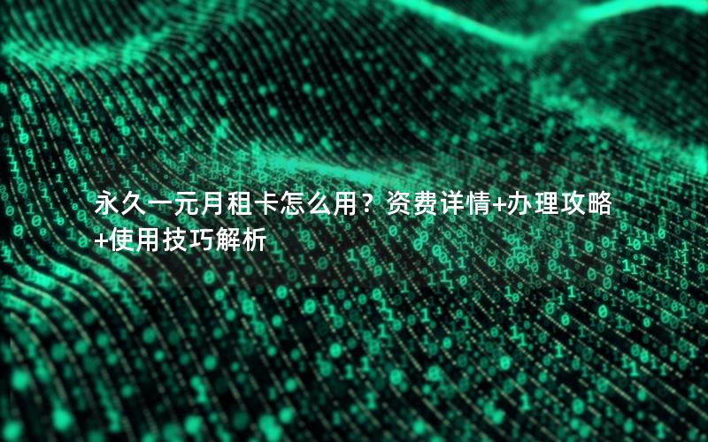 永久一元月租卡怎么用？资费详情+办理攻略+使用技巧解析