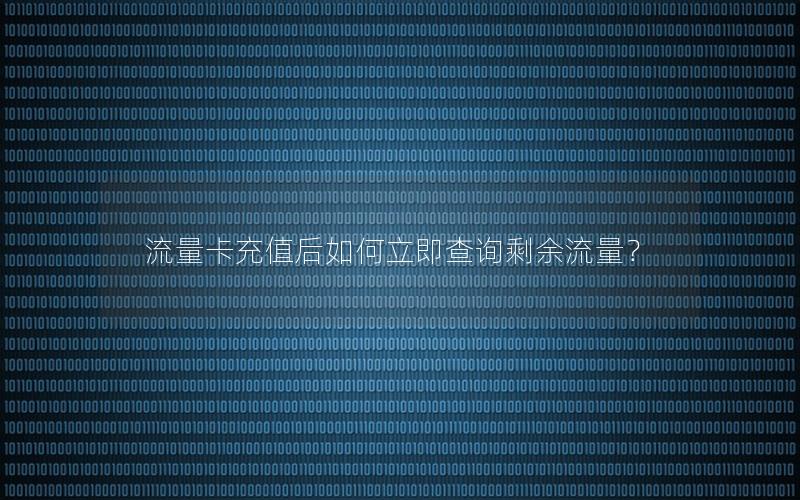 流量卡充值后如何立即查询剩余流量？