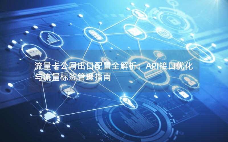 流量卡公网出口配置全解析：API接口优化与流量标签管理指南