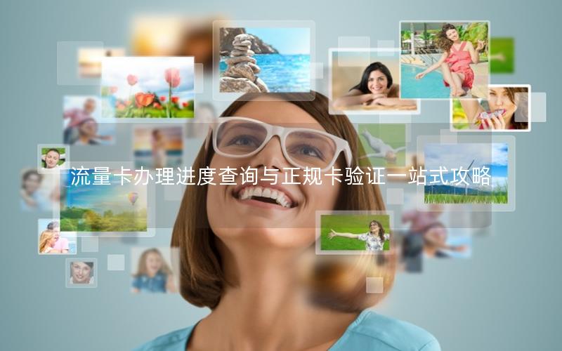 流量卡办理进度查询与正规卡验证一站式攻略