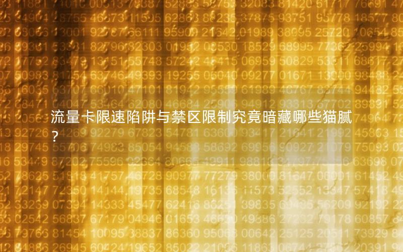 流量卡限速陷阱与禁区限制究竟暗藏哪些猫腻？