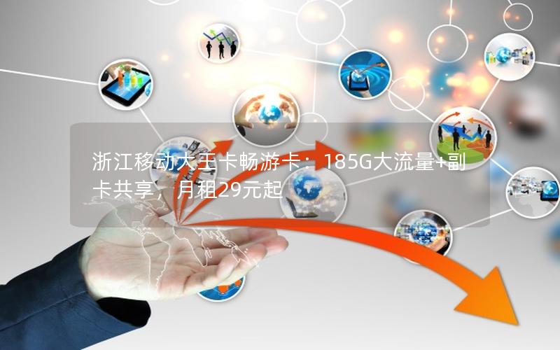 浙江移动大王卡畅游卡：185G大流量+副卡共享，月租29元起