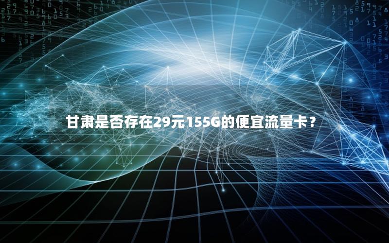 甘肃是否存在29元155G的便宜流量卡？