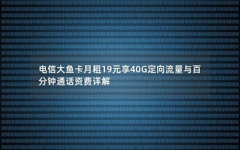 电信大鱼卡月租19元享40G定向流量与百分钟通话资费详解