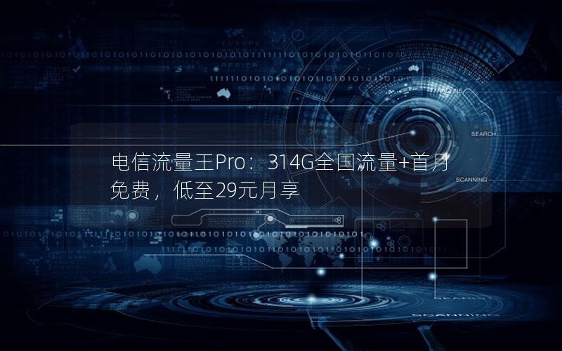 电信流量王Pro：314G全国流量+首月免费，低至29元月享