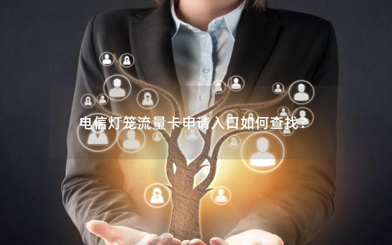 电信灯笼流量卡申请入口如何查找？