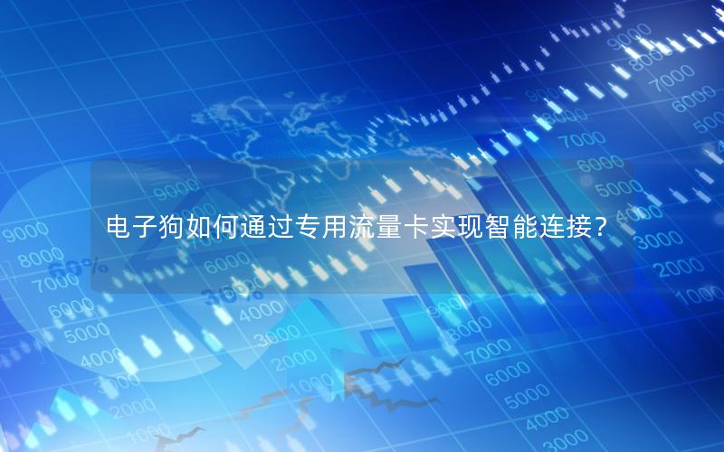 电子狗如何通过专用流量卡实现智能连接？