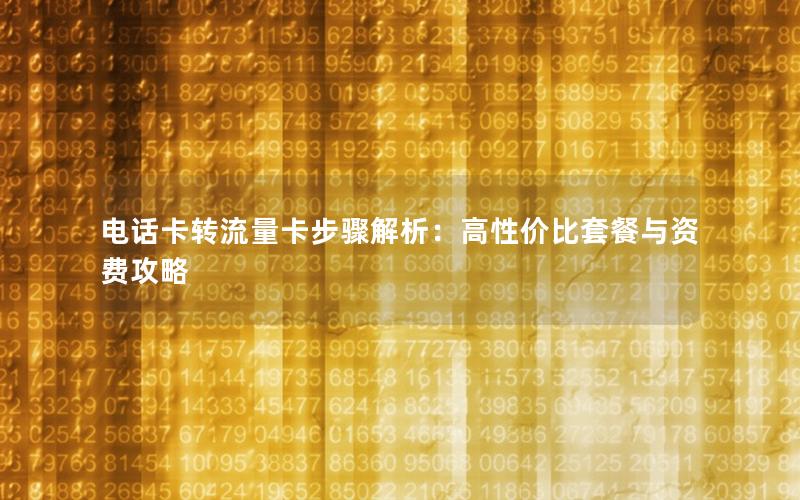 电话卡转流量卡步骤解析：高性价比套餐与资费攻略