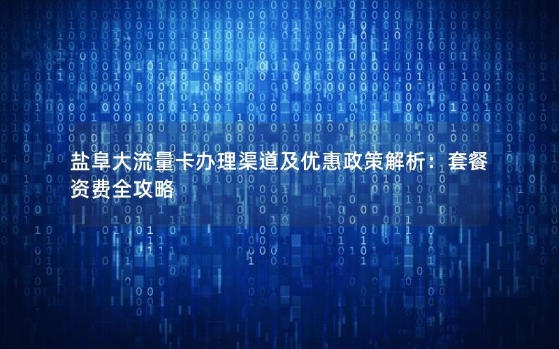 盐阜大流量卡办理渠道及优惠政策解析：套餐资费全攻略