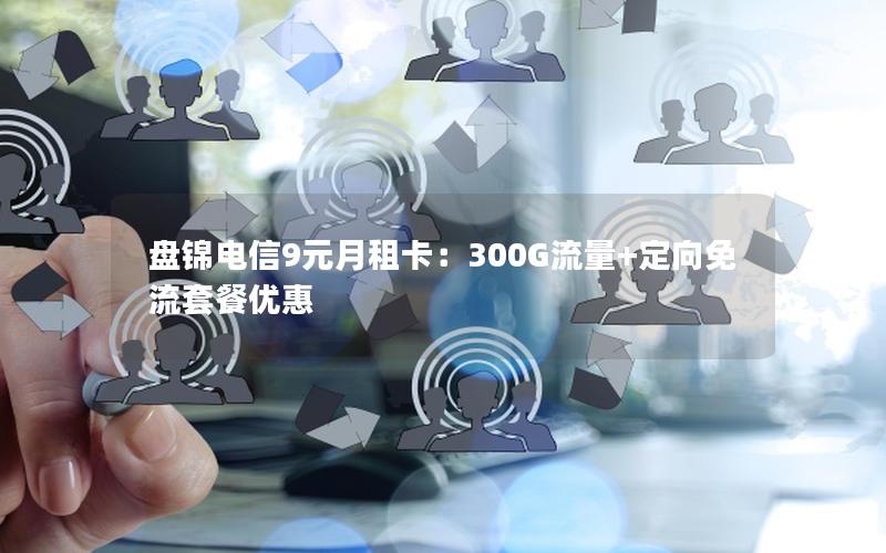 盘锦电信9元月租卡：300G流量+定向免流套餐优惠