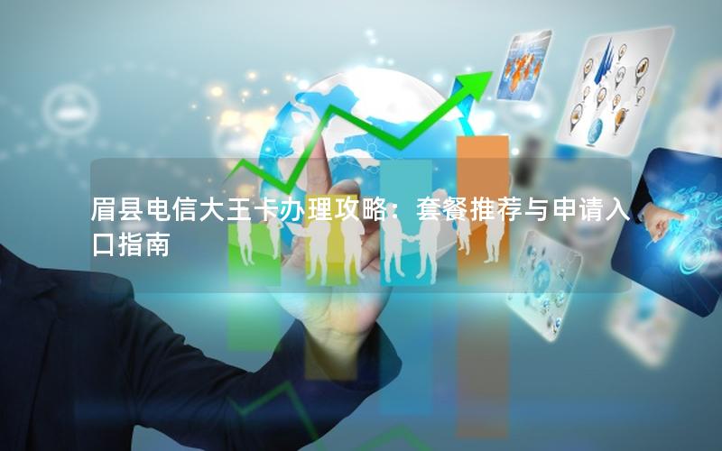 眉县电信大王卡办理攻略：套餐推荐与申请入口指南