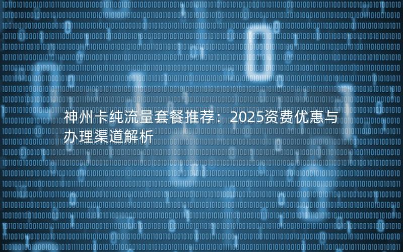 神州卡纯流量套餐推荐：2025资费优惠与办理渠道解析