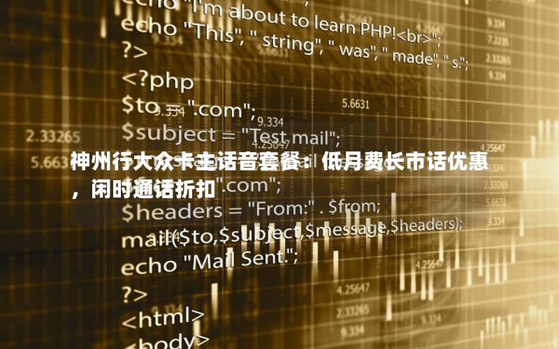 神州行大众卡主话音套餐：低月费长市话优惠，闲时通话折扣